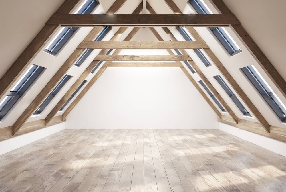 Attic Cleanup